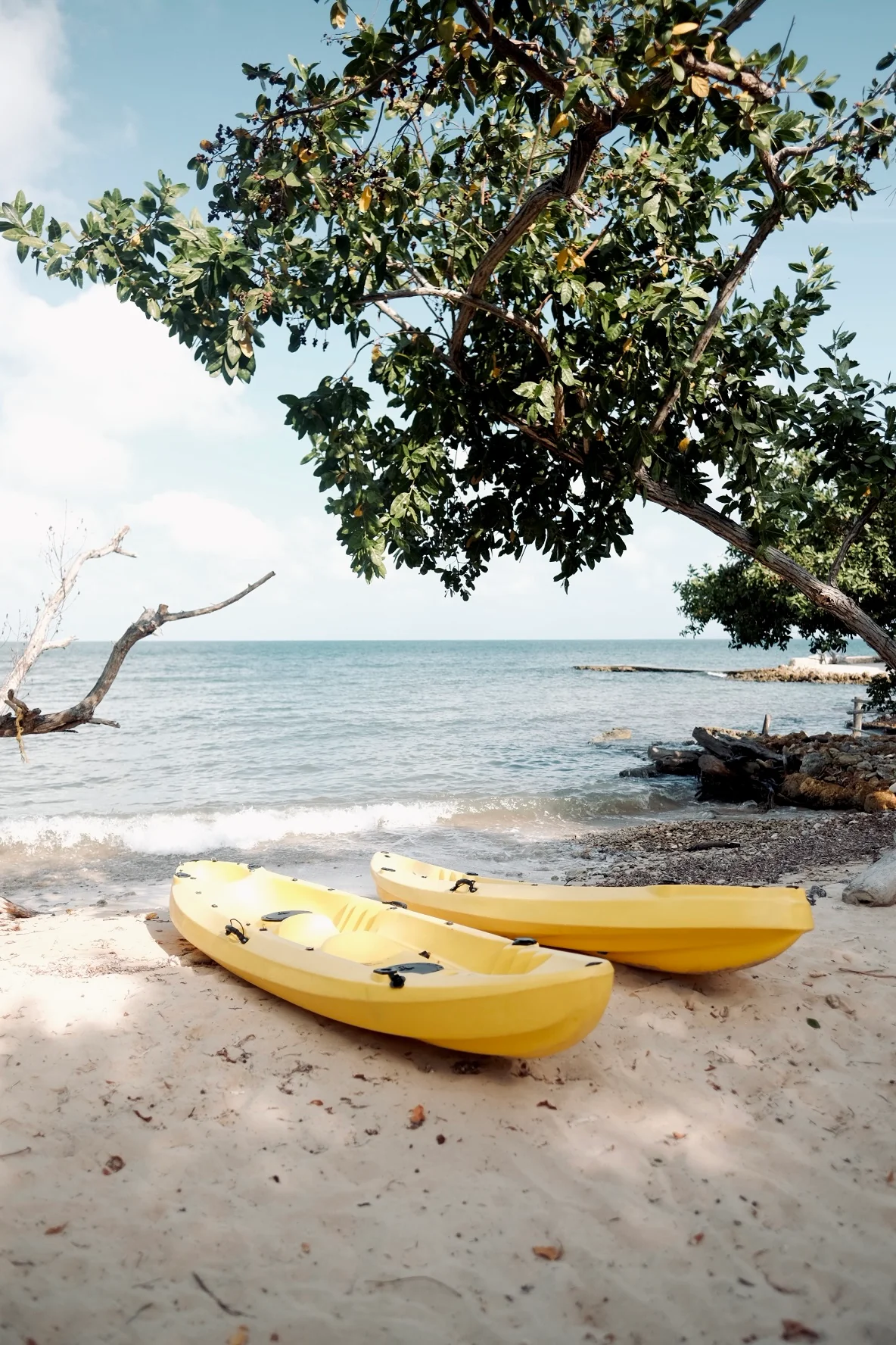 Paddleboarding en aguas turquesa