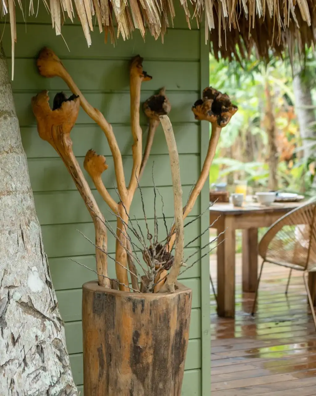 Interior de Casa Luna Nueva