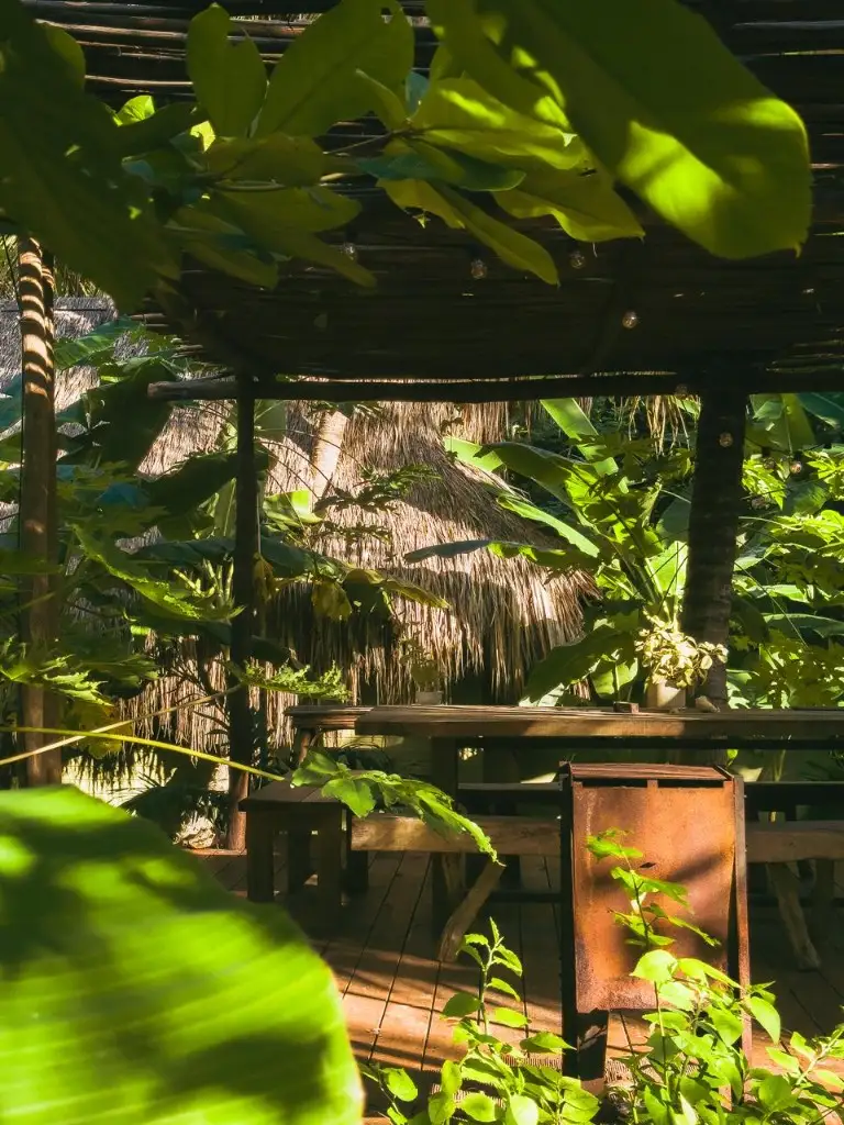 Mesas del restaurante rodeadas de vegetación tropical