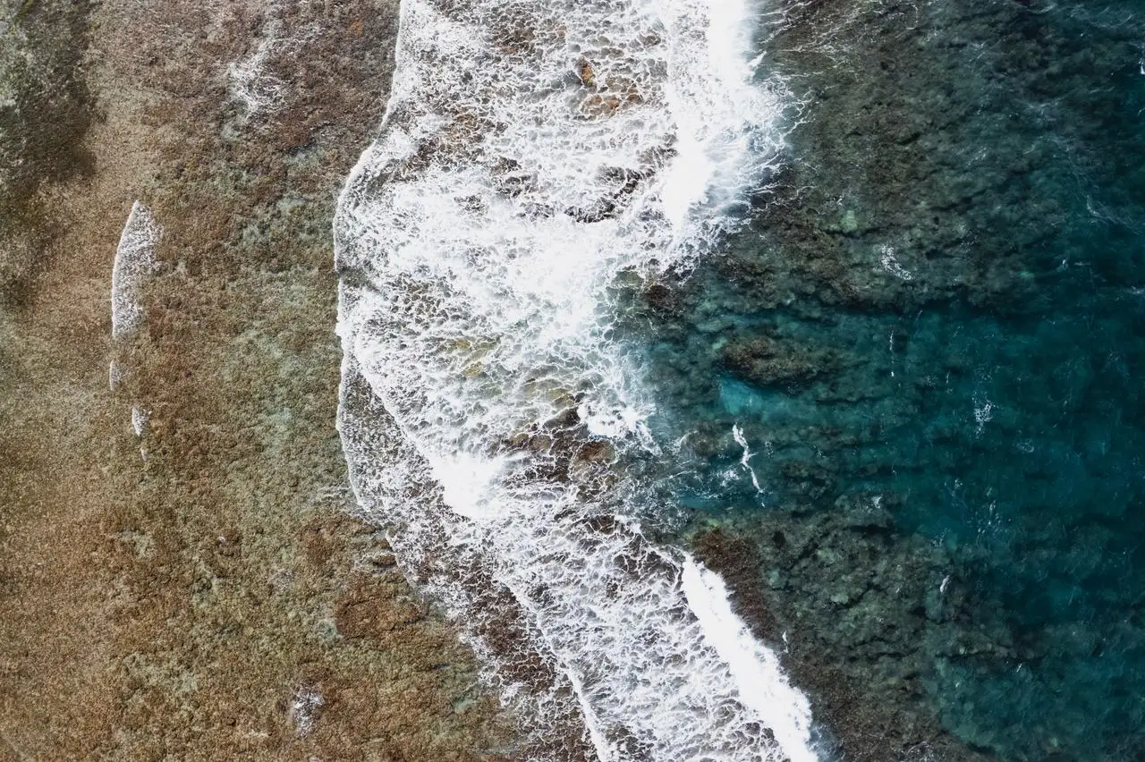 Olas del Caribe